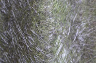 Much Wenlock fibreglass roof work